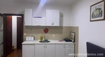 Apartman Anka, ενοικιαζόμενα δωμάτια στο μέρος Vrnjačka banja, Σερβία