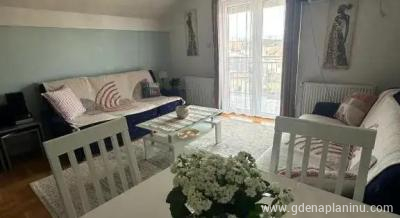 Apartman Vasilije, ενοικιαζόμενα δωμάτια στο μέρος Vrnjačka banja, Σερβία