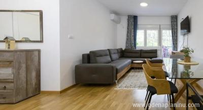 Apartman Zvonko, ενοικιαζόμενα δωμάτια στο μέρος Vrnjačka banja, Σερβία