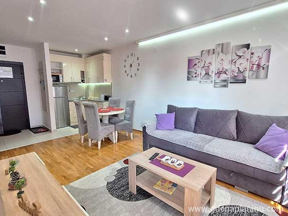 Apartman Nena Binis, privat innkvartering i sted Zlatibor, Serbia - Kuhinja i dnevni boravak