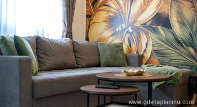 Apartman Omorika, alloggi privati a Zlatibor, Serbia