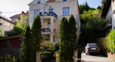 Vila Ozren, apartmani i sobe, ενοικιαζόμενα δωμάτια στο μέρος Sokobanja, Serbia