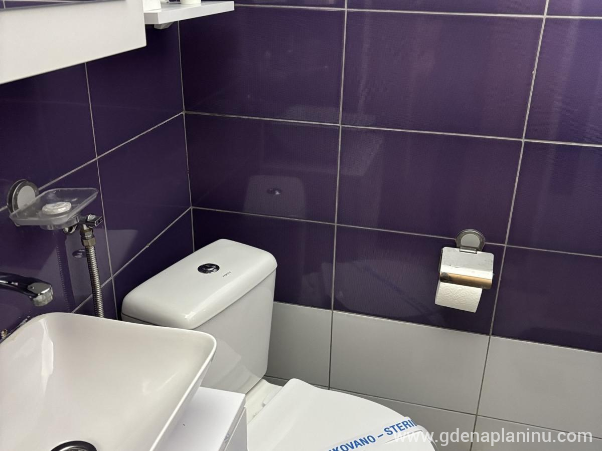 Vila Ozren, apartmani i sobe, Apartman 5, ενοικιαζόμενα δωμάτια στο μέρος Sokobanja, Serbia - Apartman 5, fotografija 3