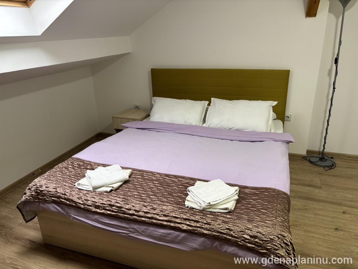 Vila Ozren, apartmani i sobe, Studio 14, privat innkvartering i sted Sokobanja, Serbia - Studio 14, fotografija 2