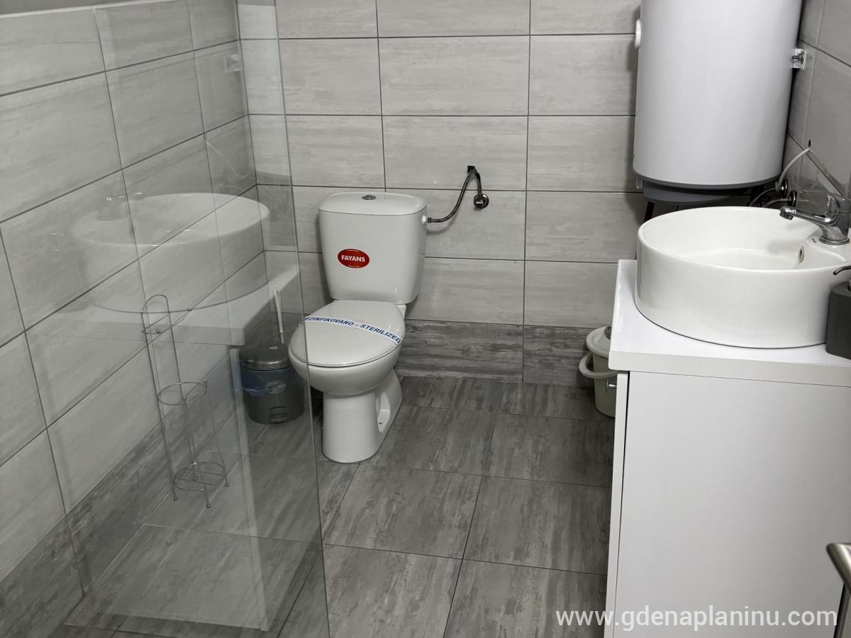 Vila Ozren, apartmani i sobe, Studio 14, privat innkvartering i sted Sokobanja, Serbia - Studio 14, fotografija 3