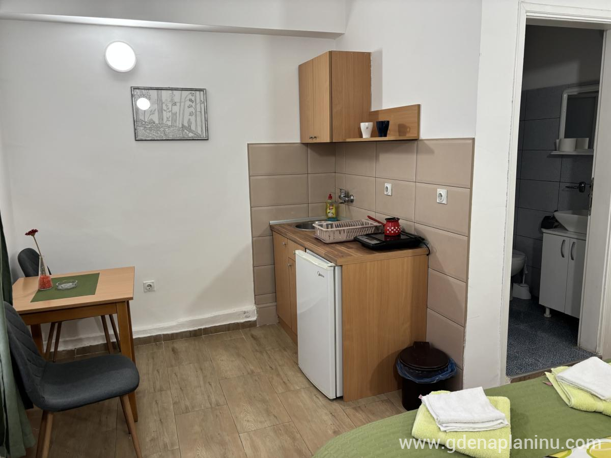 Vila Ozren, apartmani i sobe, Studio 2, privatni smeštaj u mestu Sokobanja, Srbija - Studio 2, fotografija 3