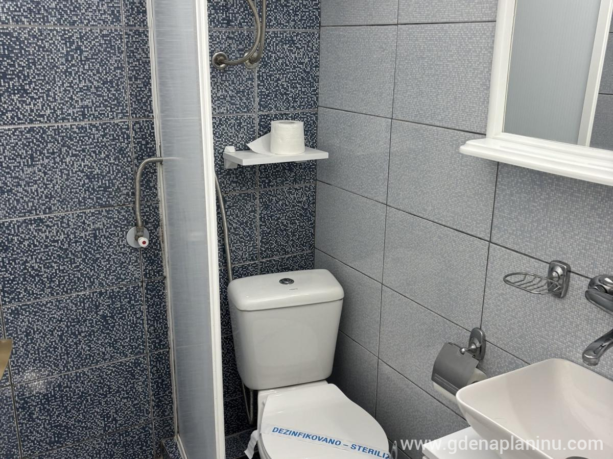 Vila Ozren, apartmani i sobe, Studio 2, privatni smeštaj u mestu Sokobanja, Srbija - Studio 2, fotografija 4
