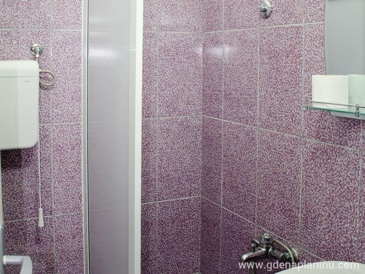 Vila Ozren, apartmani i sobe, Studio 4, alojamiento privado en Sokobanja, Serbia - Studio 4, fotografija 1