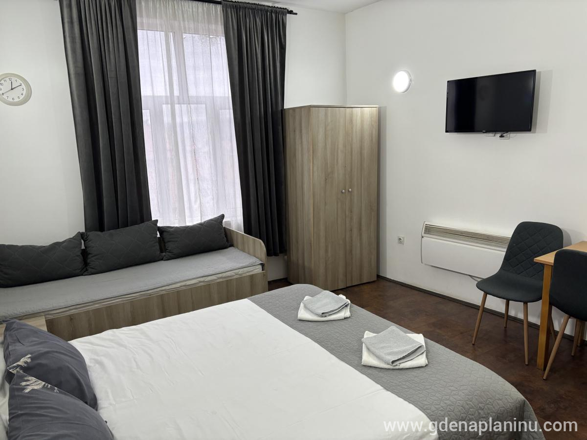 Vila Ozren, apartmani i sobe, Studio 4, alojamiento privado en Sokobanja, Serbia - Studio 4, fotografija 3
