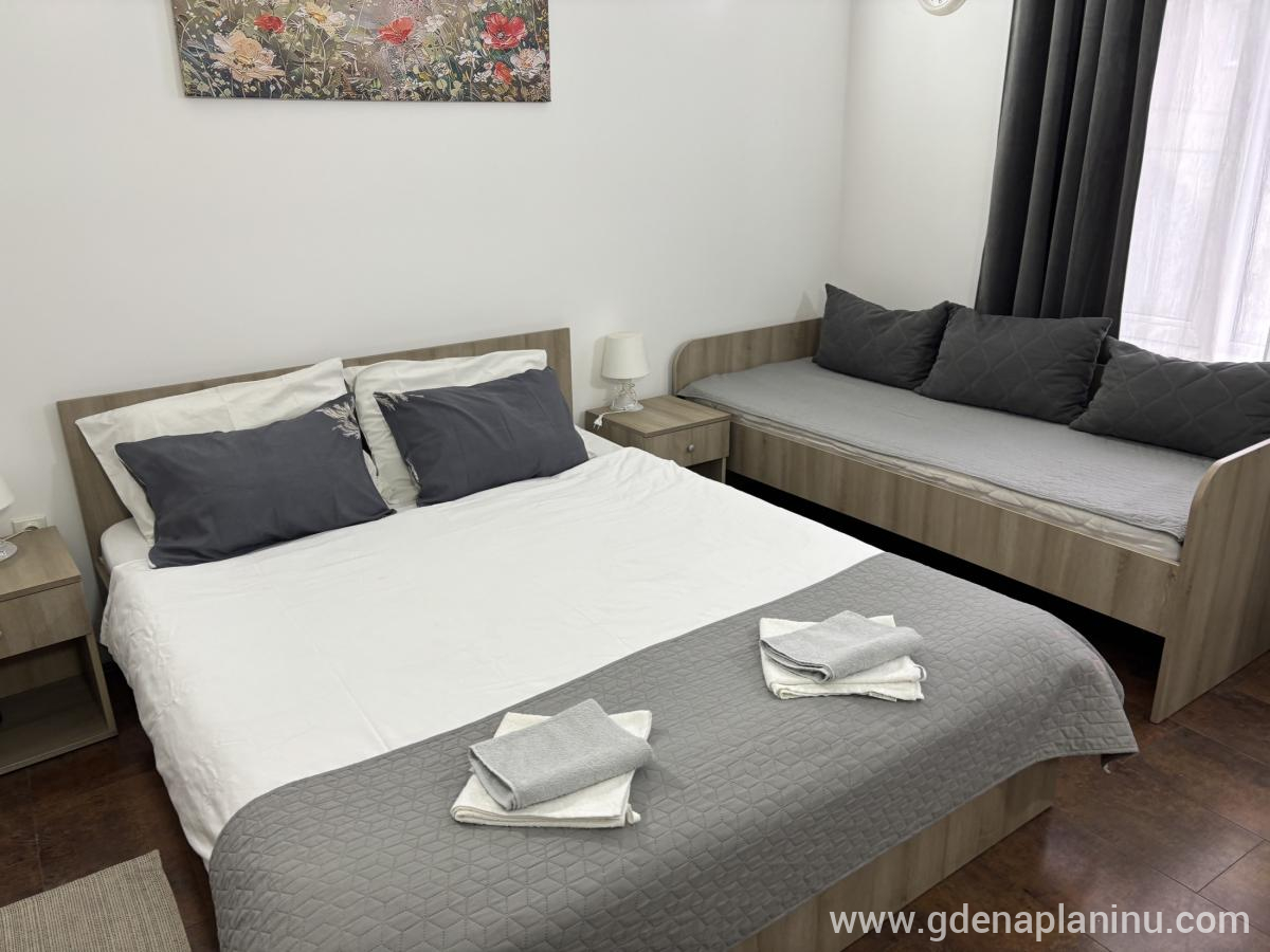 Vila Ozren, apartmani i sobe, Studio 4, alojamiento privado en Sokobanja, Serbia - Studio 4, fotografija 4