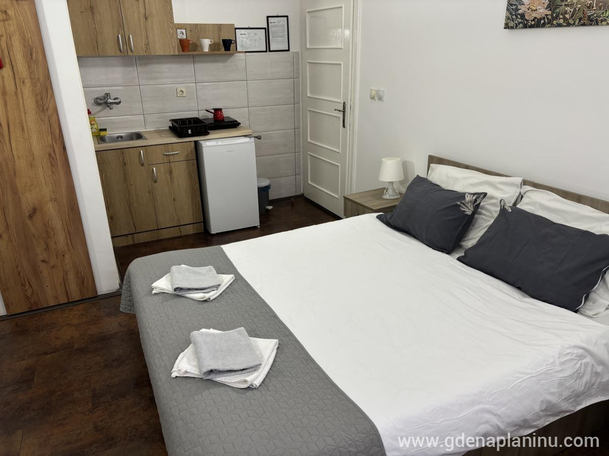Vila Ozren, apartmani i sobe, Studio 4, alojamiento privado en Sokobanja, Serbia - Studio 4, fotografija 5