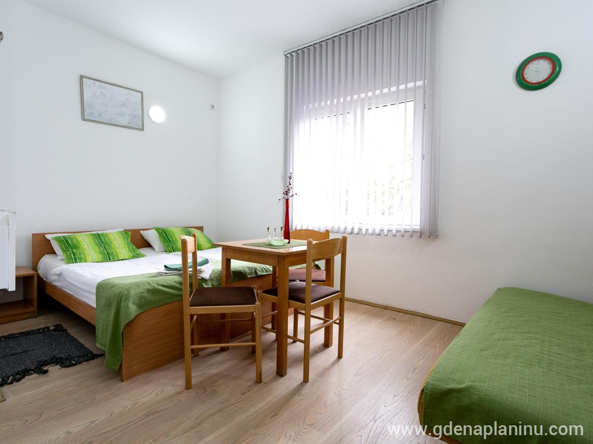 Vila Ozren, apartmani i sobe, Studio 6, privat innkvartering i sted Sokobanja, Serbia - Studio 6, fotografija 2