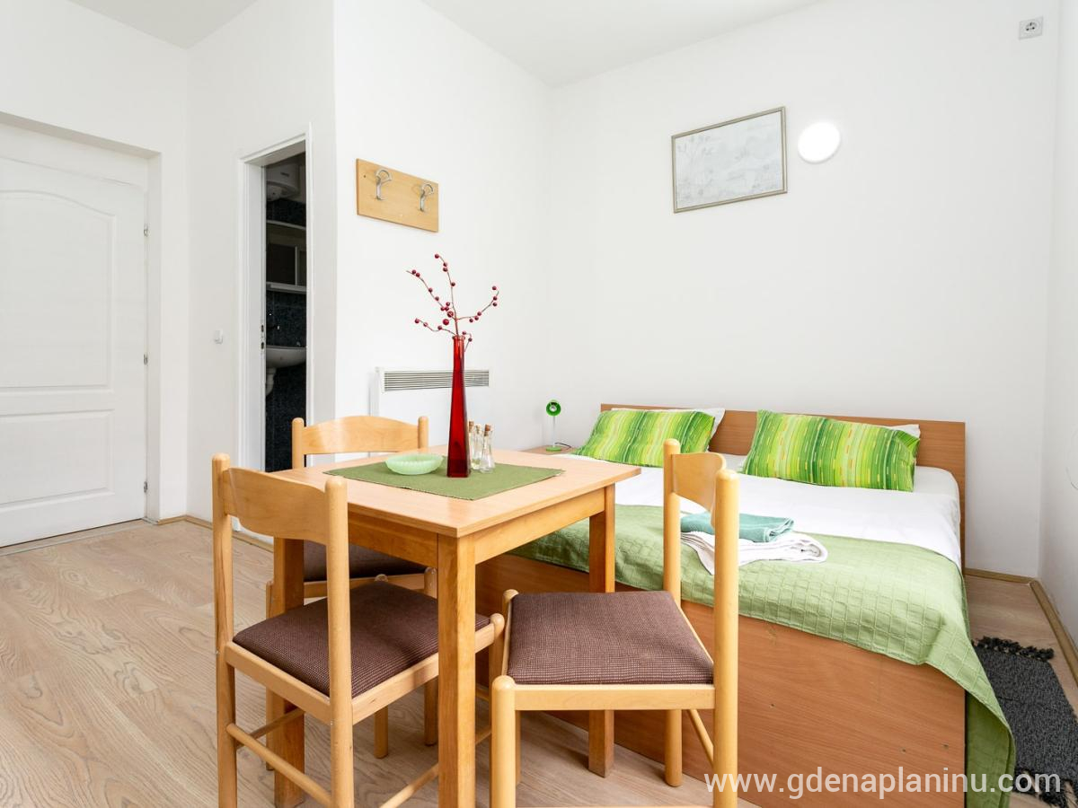 Vila Ozren, apartmani i sobe, Studio 6, privat innkvartering i sted Sokobanja, Serbia - Studio 6, fotografija 4