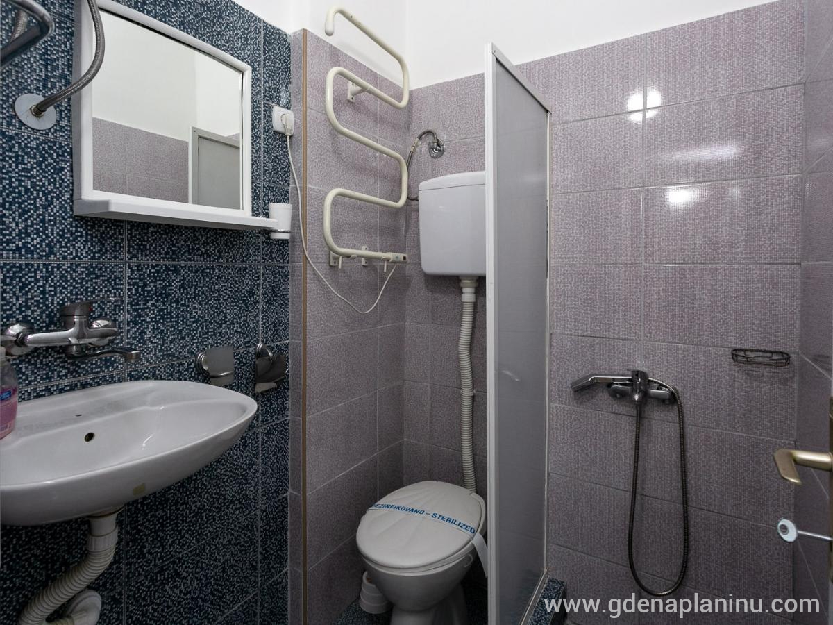 Vila Ozren, apartmani i sobe, Studio 6, privat innkvartering i sted Sokobanja, Serbia - Studio 6, fotografija 7