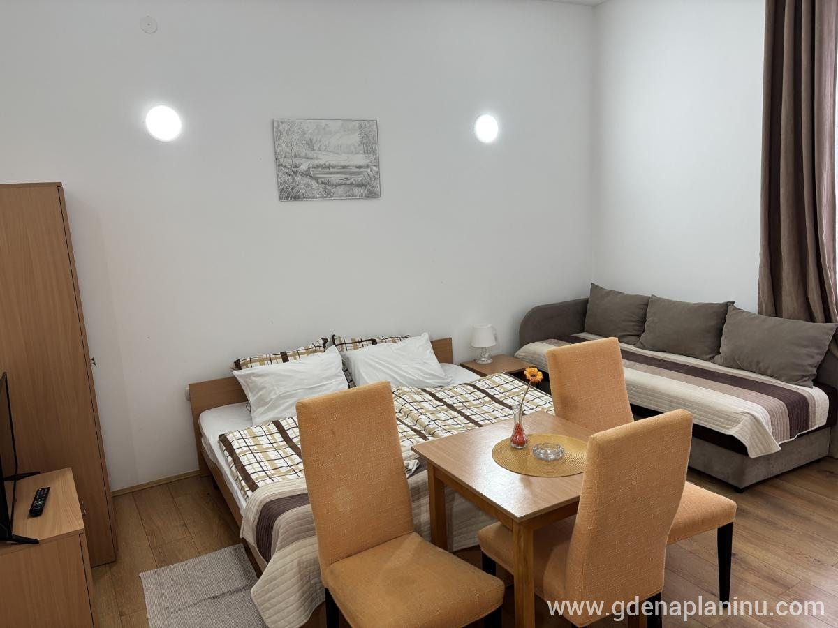 Vila Ozren, apartmani i sobe, Studio 9, Частный сектор жилья Sokobanja, Serbia - Studio 9, fotografija 2
