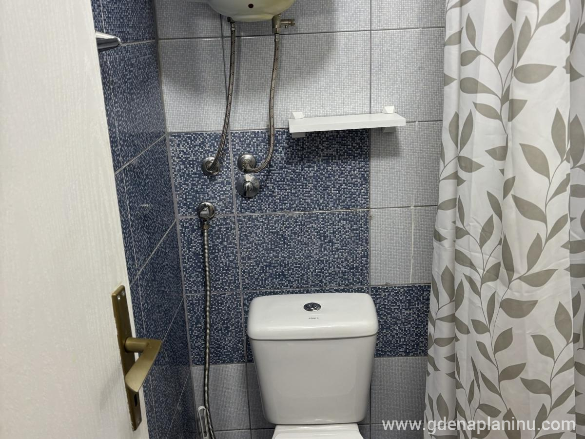 Vila Ozren, apartmani i sobe, Studio 9, Частный сектор жилья Sokobanja, Serbia - Studio 9, fotografija 3