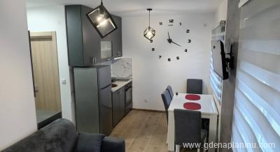 Apartman Savić, privat innkvartering i sted Divčibare, Serbia