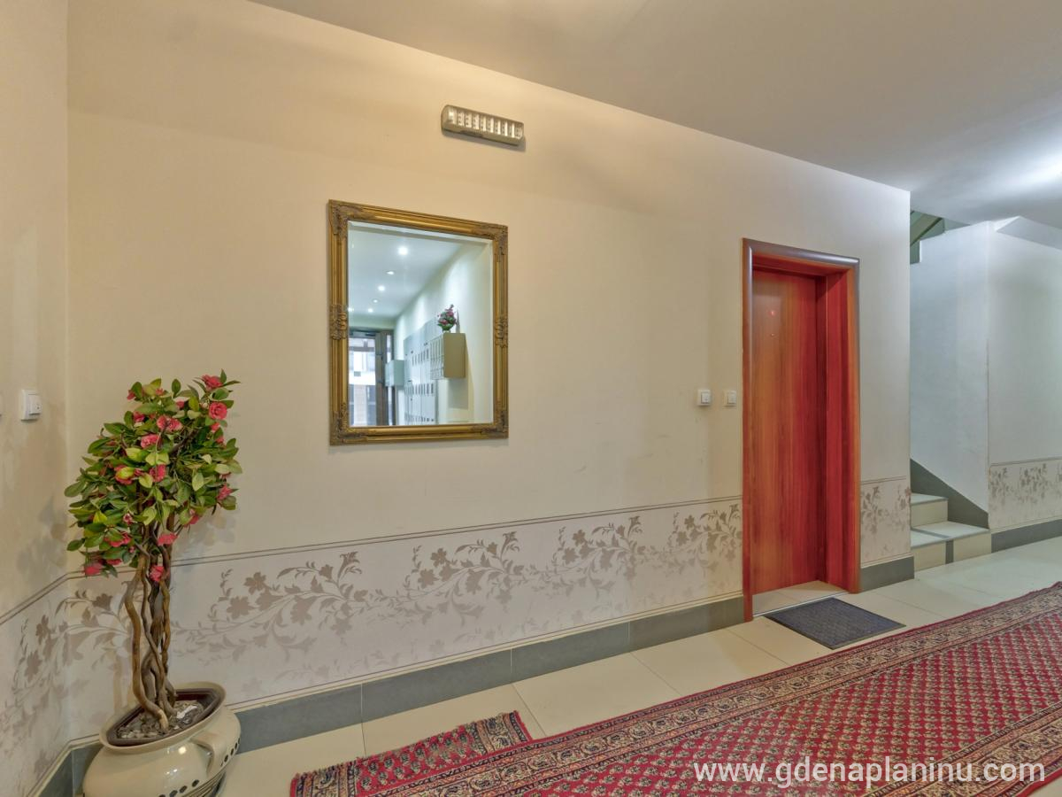 Apartman Simonović, частни квартири в града Zlatibor, Сърбия - Входна зона на студиото