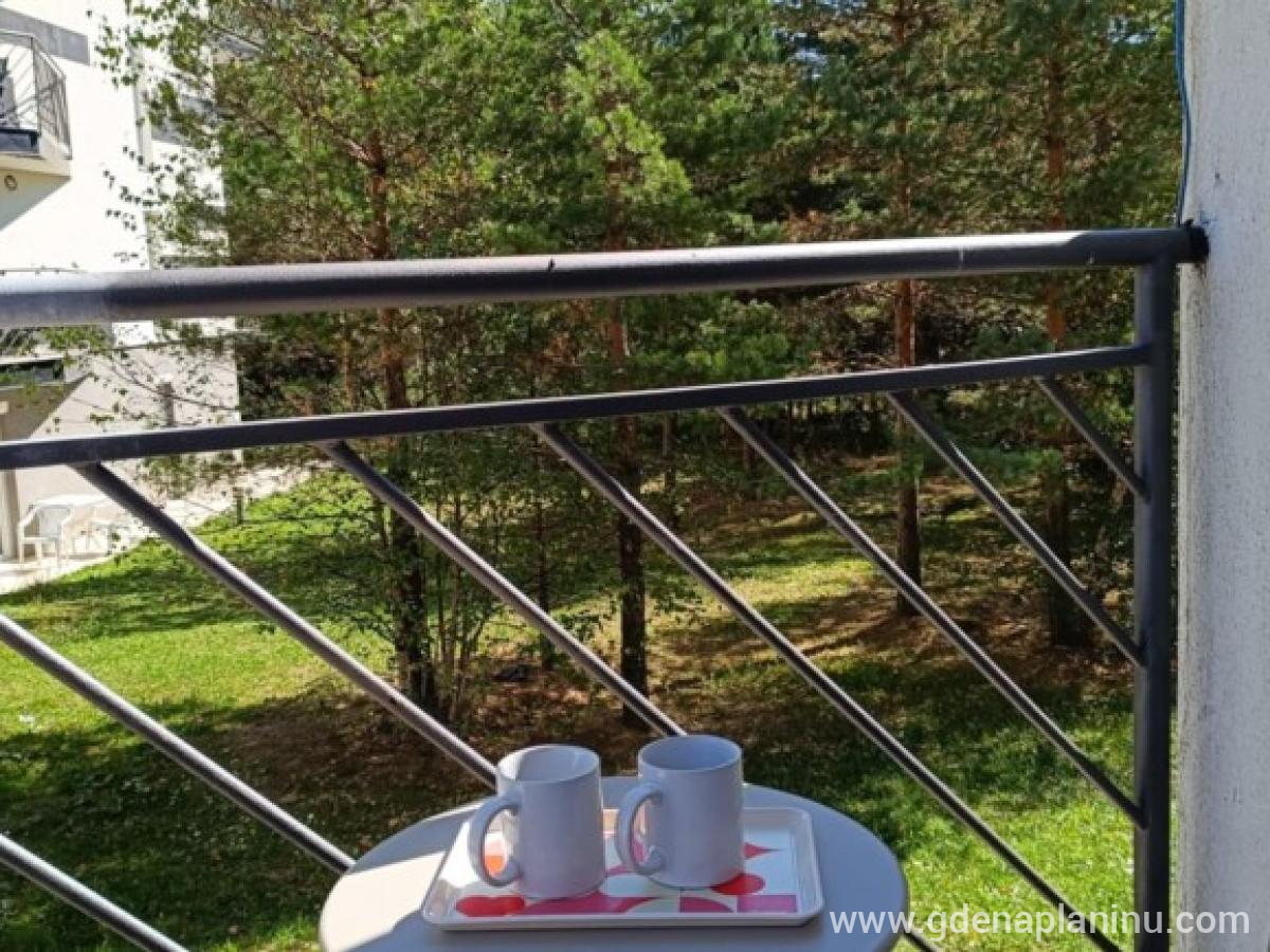 Studio Tara Divčibare, privat innkvartering i sted Divčibare, Serbia - Studio Tara Divčibare, 3