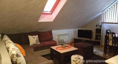 Apartman Voja 15, logement privé à Zlatibor, Serbia