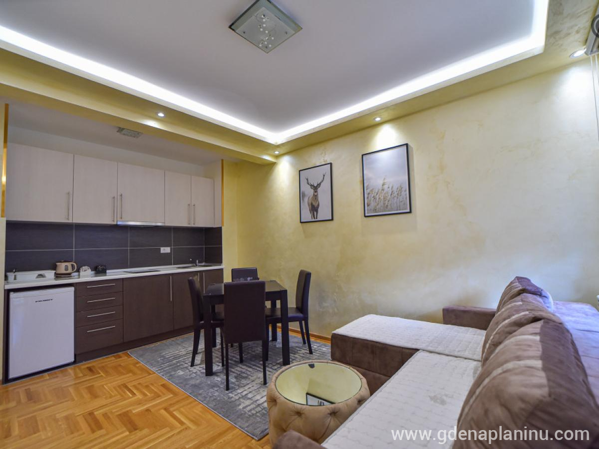 Apartman Zvezdana noć, alojamiento privado en Zlatibor, Serbia - Dnevna soba