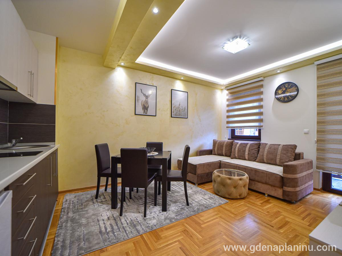 Apartman Zvezdana noć, alojamiento privado en Zlatibor, Serbia - Dnevna soba i kuhinja