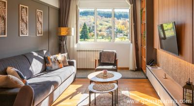 Kora Lodge, privat innkvartering i sted Kolašin, Montenegro