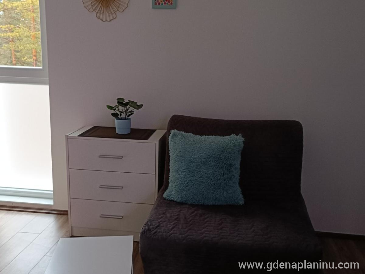 Studio Tara Divčibare, privat innkvartering i sted Divčibare, Serbia - Studio Tara, Fotelja i komoda