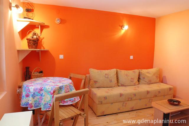 Apartman u Vili Savic v Vila Savic, zasebne nastanitve v mestu Kopaonik, Serbia