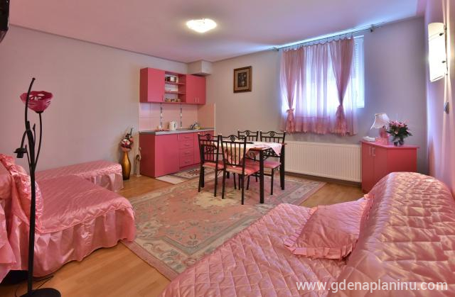 Delux Studio Apartman 12 en Vila Sofija Zlatibor, alojamiento privado en Zlatibor, Serbia
