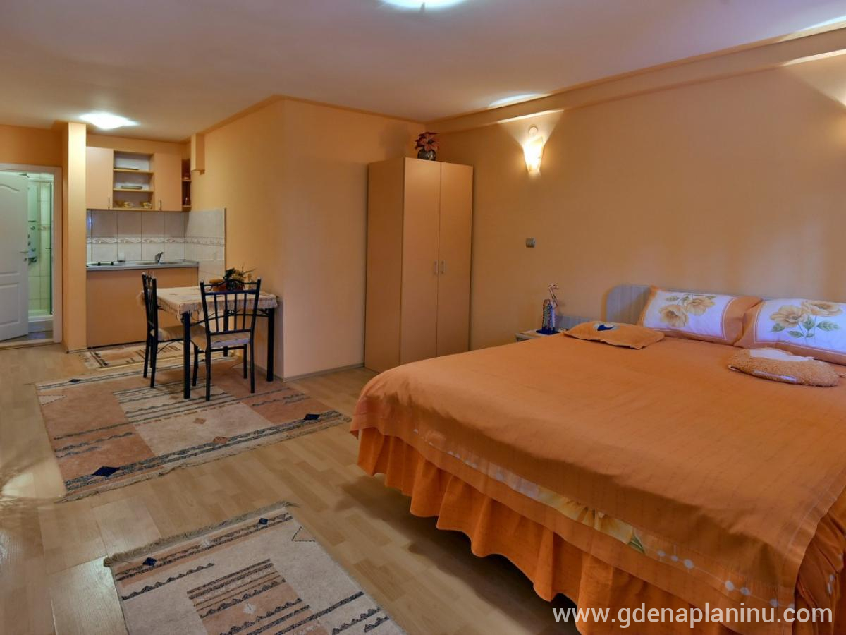 Vila Sofija Zlatibor, Deluxe ettromsleilighet 13, privat innkvartering i sted Zlatibor, Serbia - 1
