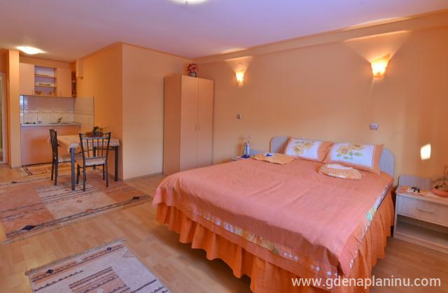 Delux Studio Apartman 13 en Vila Sofija Zlatibor, alojamiento privado en Zlatibor, Serbia