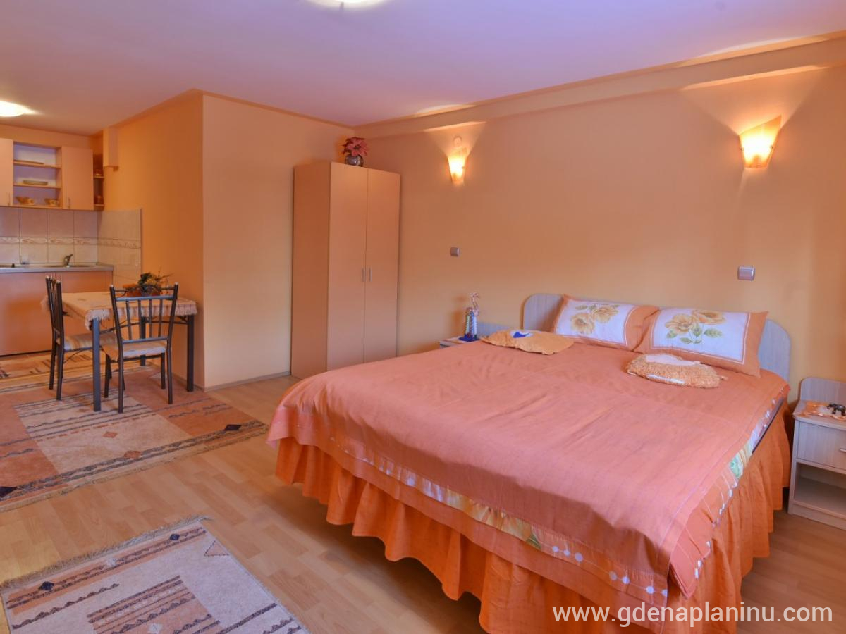 Vila Sofija Zlatibor, Deluxe ettromsleilighet 13, privat innkvartering i sted Zlatibor, Serbia - 2