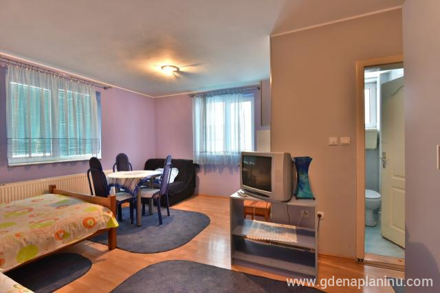 Studio Apartman 2 en Vila Sofija Zlatibor, alojamiento privado en Zlatibor, Serbia