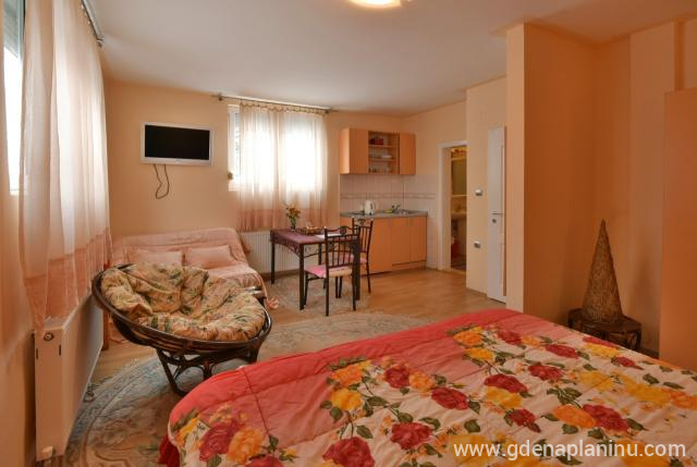 Delux Studio Apartman 11 en Vila Sofija Zlatibor, alojamiento privado en Zlatibor, Serbia