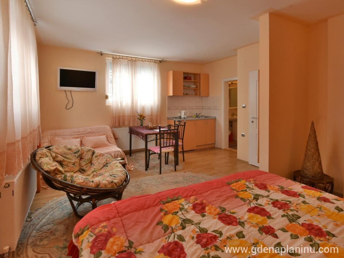 Vila Sofija Zlatibor, Studio Deluxe 11, logement privé à Zlatibor, Serbia - 5