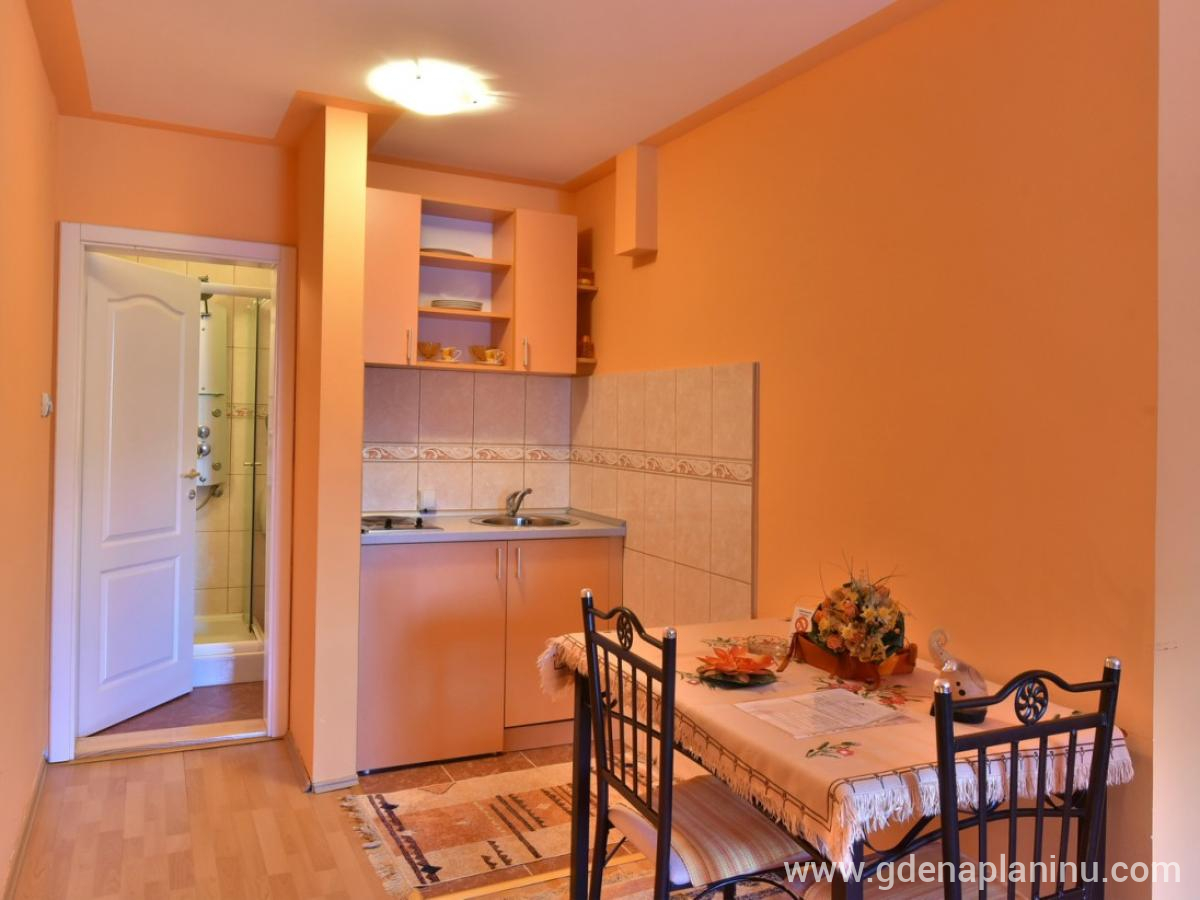 Vila Sofija Zlatibor, Deluxe ettromsleilighet 13, privat innkvartering i sted Zlatibor, Serbia - 6