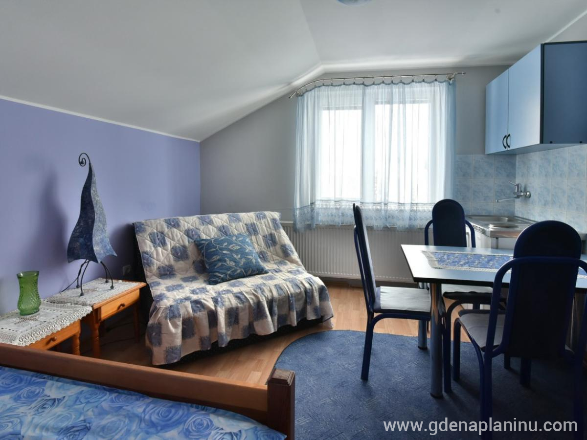 Vila Sofija Zlatibor, Studio Apartman 7, частни квартири в града Zlatibor, Serbia - 6