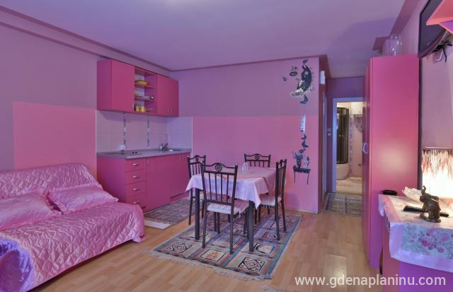 Delux Apartman 14 en Vila Sofija Zlatibor, alojamiento privado en Zlatibor, Serbia