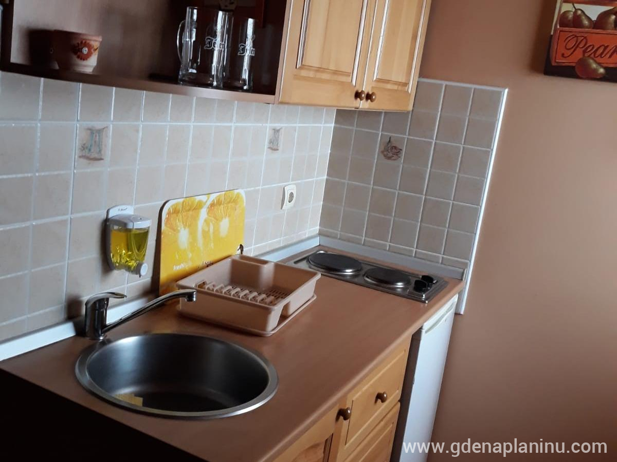 Apartmani M & M, Apartamento 3, alojamiento privado en Divčibare, Serbia - 3