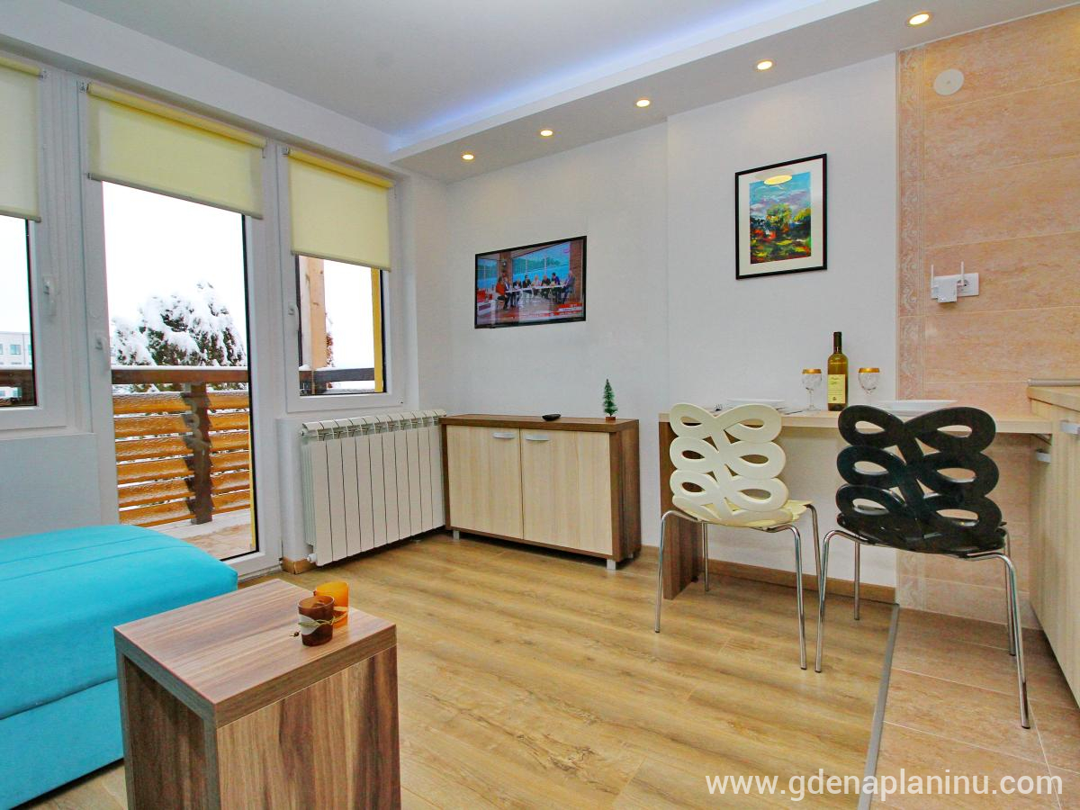 Zlatibor My village, Apartman studio2, privat innkvartering i sted Zlatibor, Serbia - Studio2
