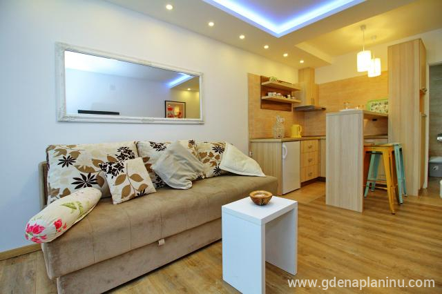 Apartman studio3 u Zlatibor My village, privatni smeštaj u mestu Zlatibor, Srbija
