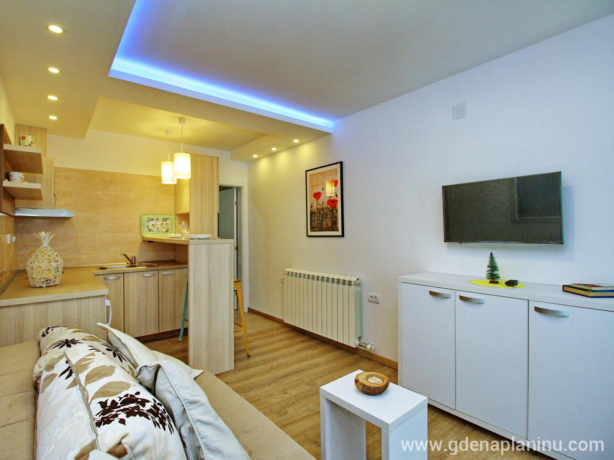 Zlatibor My village, Apartman studio3, privat innkvartering i sted Zlatibor, Serbia -  Studio3