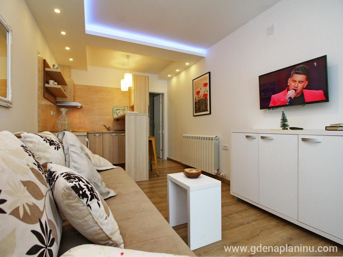 Zlatibor My village, Apartman studio3, privat innkvartering i sted Zlatibor, Serbia -  Studio3
