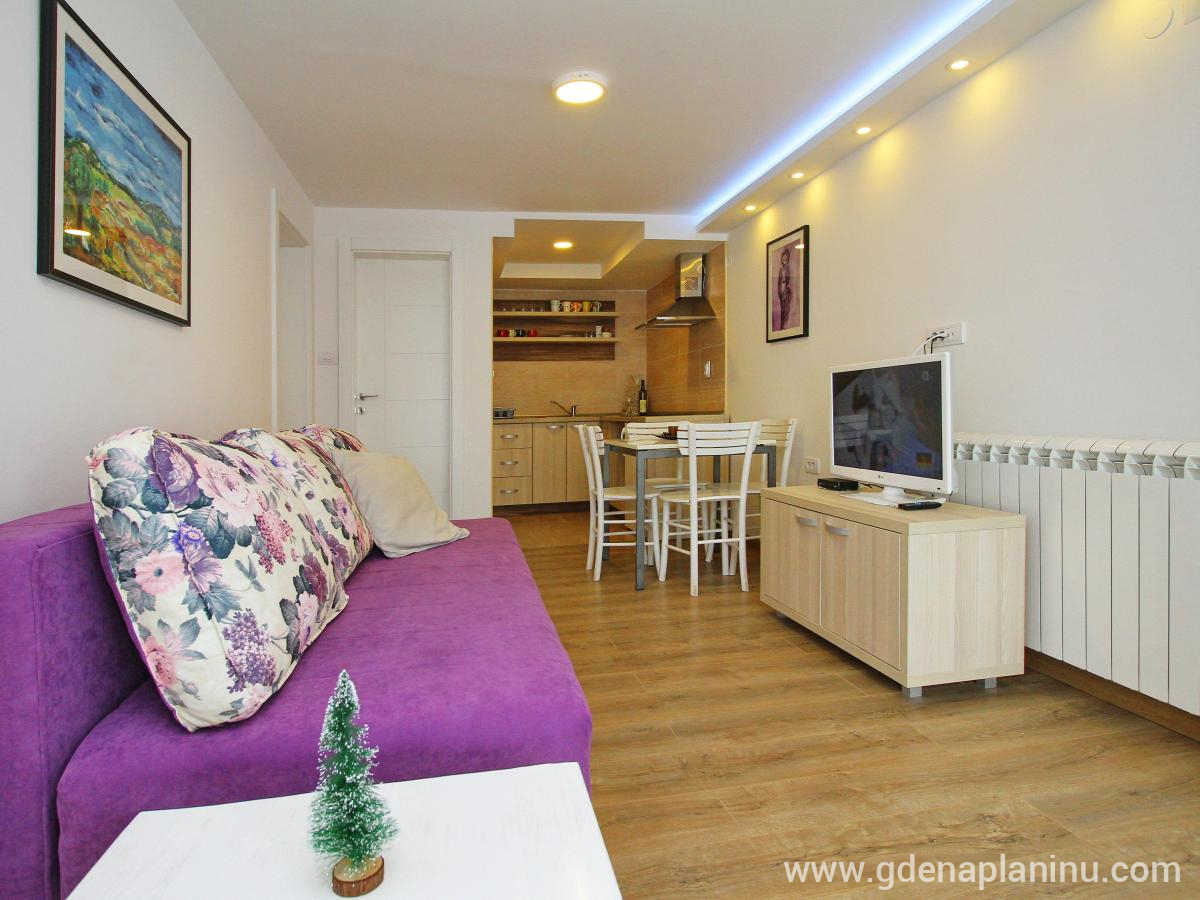 Zlatibor My village, Apartman 1, частни квартири в града Zlatibor, Serbia - Apartman1