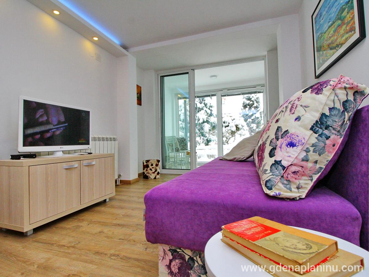 Zlatibor My village, Apartman 1, частни квартири в града Zlatibor, Serbia - Apartman1