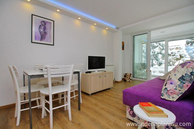 Apartman 1 u Zlatibor My village, privatni smeštaj u mestu Zlatibor, Srbija