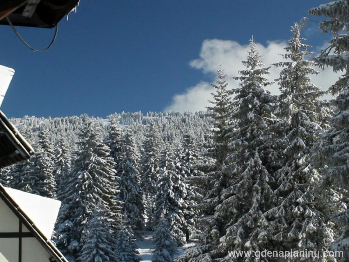 Vila Bianca apartman C, private accommodation in city Kopaonik, Serbia - Pogled sa prozora 