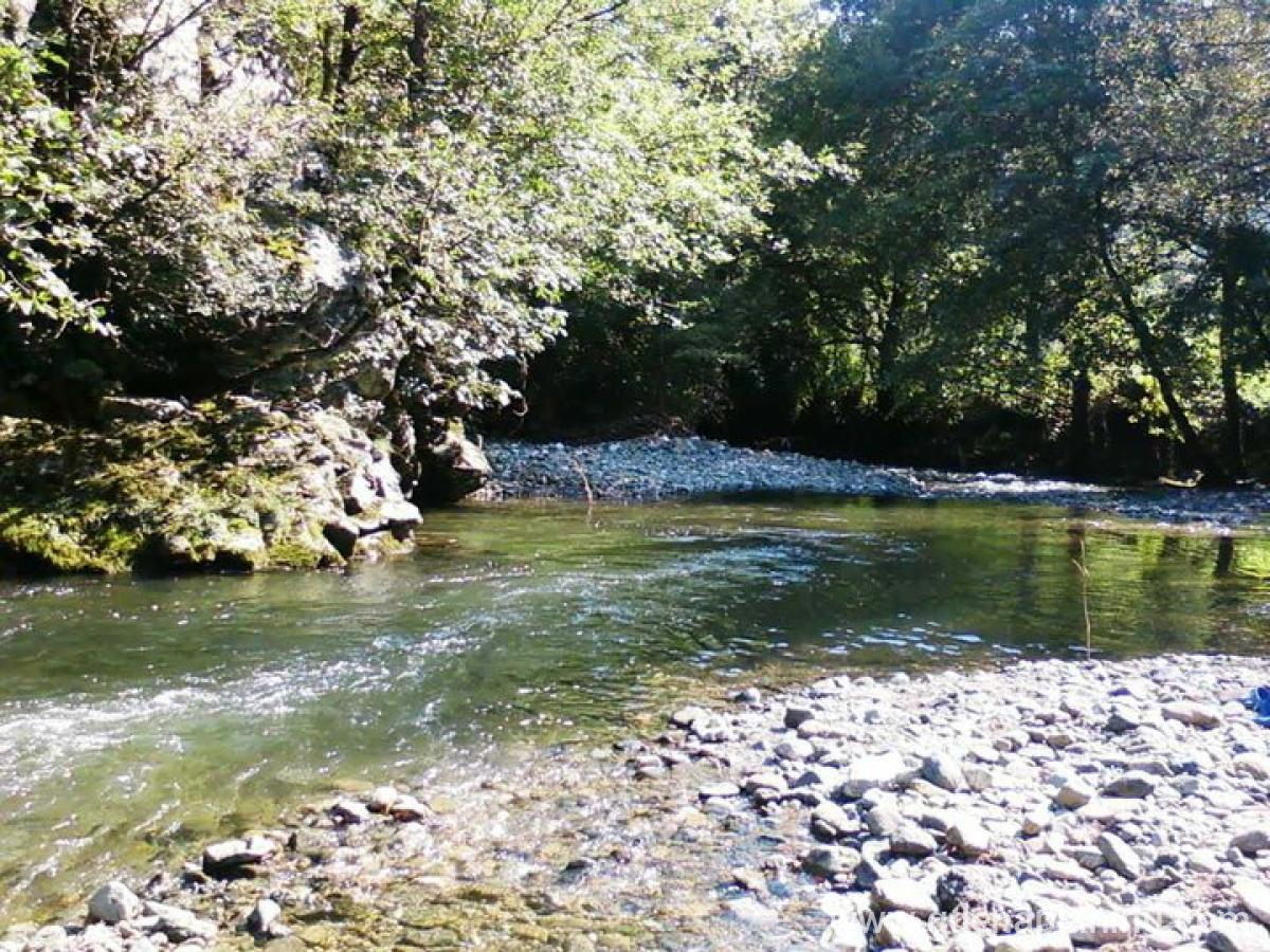 OAZA MIRA, Частный сектор жилья Kraljevo, Serbia - OAZA MIRA