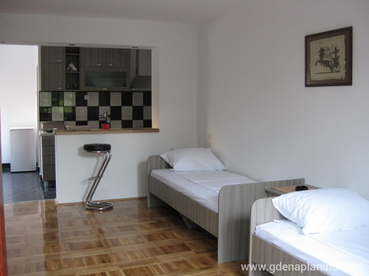Smeštaj , zasebne nastanitve v mestu Niška Banja, Serbia - apartman